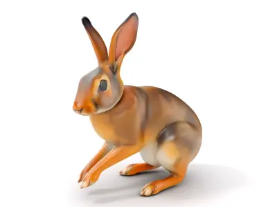 Realistic Rabbit D Model Pack Low-poly 3D model