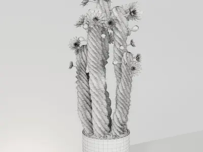Plant 5 two cactus plants with flowers 3D model