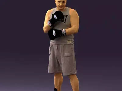 Boxer in gray 0781 3D model