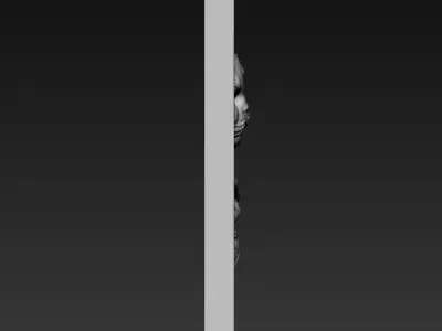 Sleeping Kitten and Flowers A70 3D print model