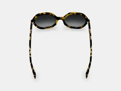 Rachel Sunglasses in Mesquite Tortoise 3D model