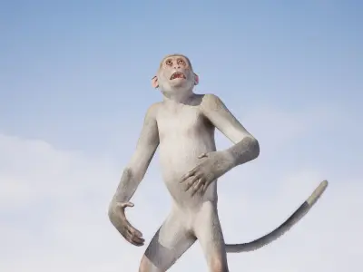 Monkey 3D model order