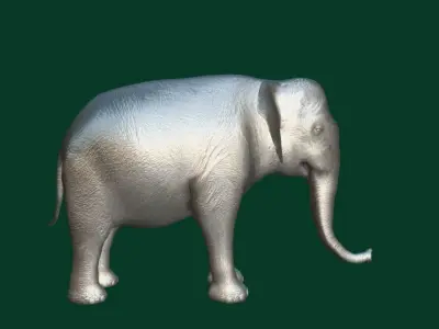 Asian Elephant Adult Low-poly 3D model
