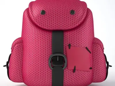Back Pack Pink 3D model