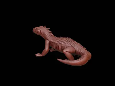 Salamander Animal Sculpture 3D print model buy