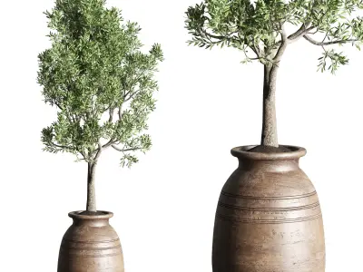 collection indoor plant 151 old wooden vase tree pot 3D model