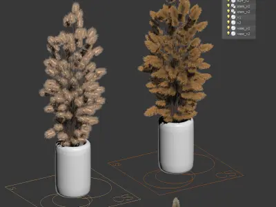 A bouquet of dried flowers - 2 models 3D model