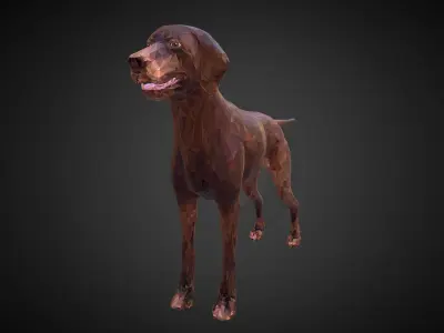 Dog Kurtshaar Brown Low Polygon Art Animal Low-poly 3D model