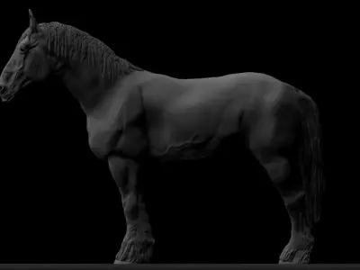 Draft Horse Sculpt 3D model