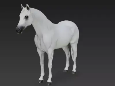 White Horse 3d model 3D model