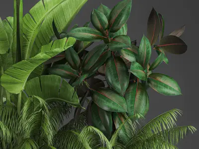 Decorative plants for outdoor and interior in metal pots 1057 3D model