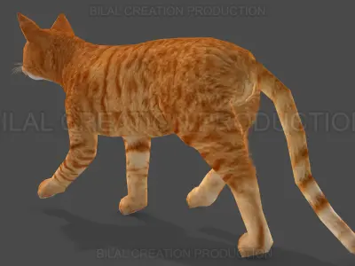 Animated Cat 3D model