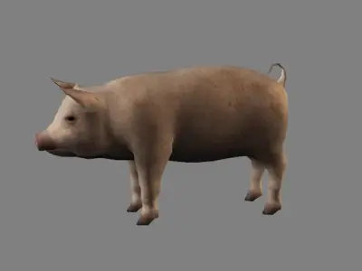 Pig Animations Low Poly- Game Ready Low-poly 3D model