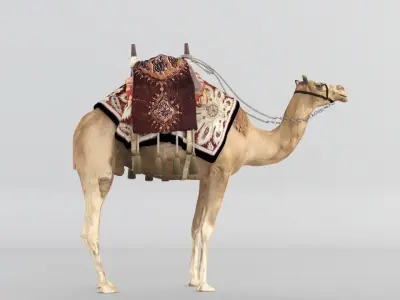 Camel 3D model