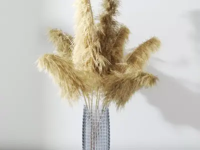 Pampas Grass 3D model