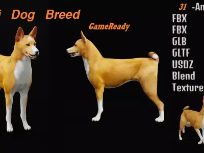 Basenji Dog 3D model