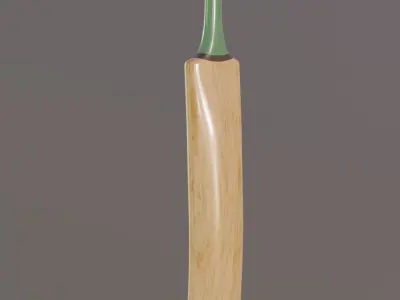 Cricket Bat 3D model