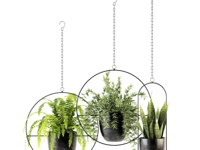 Collection of plants-002 3D model