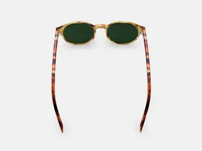 Morgan Sunglasses in Mesa Tortoise 3D model