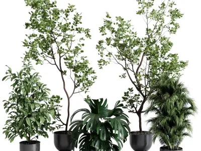 indoor plant set 651 pot tree in a concrete dirt vase 3D model