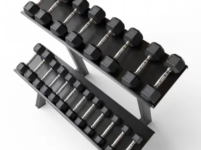 Gym Dumbbell Set 005 3D model