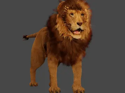 Lion King 3D model