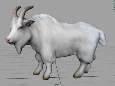 White goat Low-poly 3D model