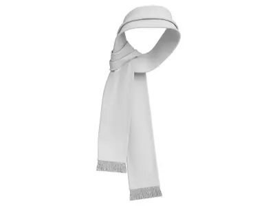 Football Fan Scarf 07 3D model