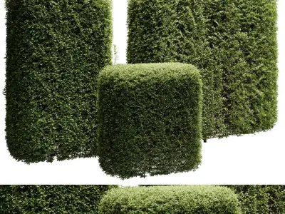 Hedge Cubic and Topiary Bush - outdoor plant set 233  3D model
