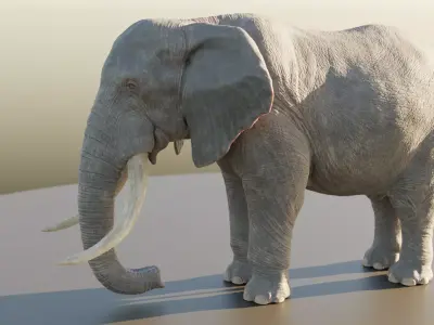 Elephant Low-poly 3D model