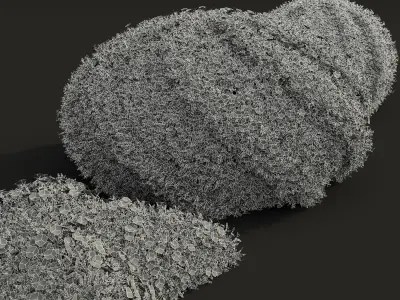 New Plant Cuphea Hookeriana Carthagenensis Decorative01 3D model