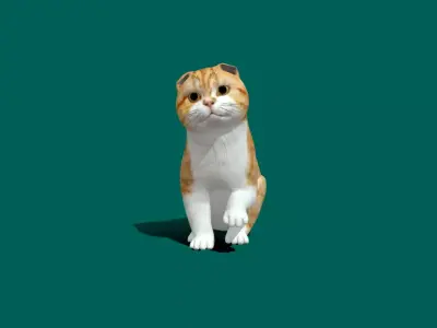 Orange Scottish Fold Cat 3D model