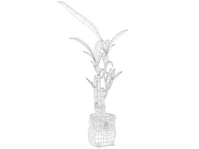 Owl Bamboo Plant Low-poly 3D model