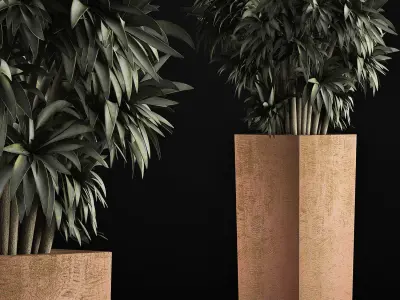 Plants Collection 45 3D model
