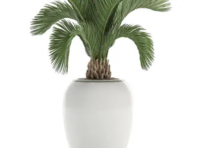 Decorative palm in a white flowerpot  513 3D model