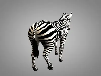 Zebra running Low-poly 3D model