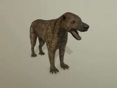 low poly dog Low-poly 3D model 2