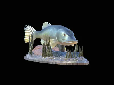 fish pike in motion underwater statue detailed texture 3D print model
