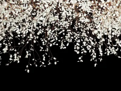 Hanging Installation Bouquet Dried Flowers Lunaria branches 568 3D model