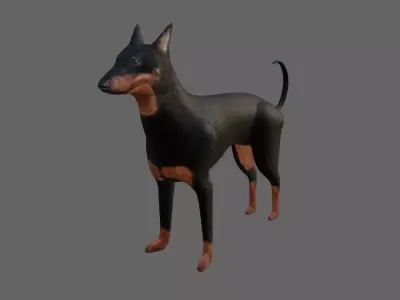 Dog Doberman - Low poly and High poly - Cachorro Low-poly 3D model