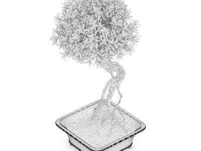 Flowering Tree in Concrete Pot 3D model