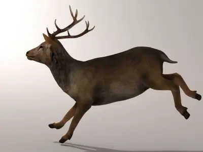 Game Ready Deer Model with antlers Low-poly 3D model