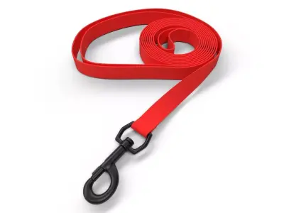 Pet Leash M03 Low-poly 3D model