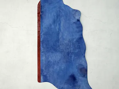 Rugs by ZARA HOME 2 3D model