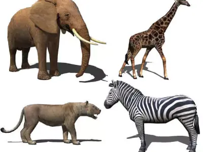 Low poly Savannah pack - 3d model Low-poly 3D model