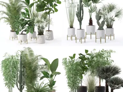 20 Photorealistic Flowers for Interiors - set 120 123 137 142 3D Model Collection