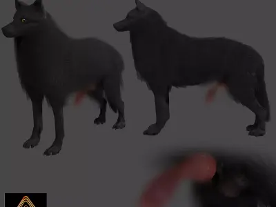 Wolf With Penis NSFW Rigged 3D model
