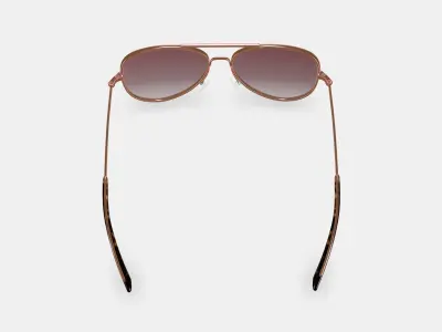 Raider Sunglasses in Rose Gold 3D model