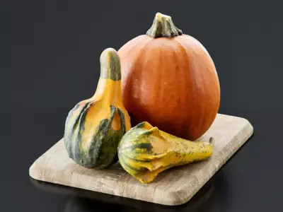 Pumpkins for decoration 3D model