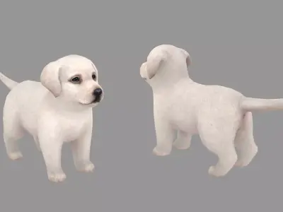 Cartoon pet puppy - Labrador - baby dog Low-poly 3D model